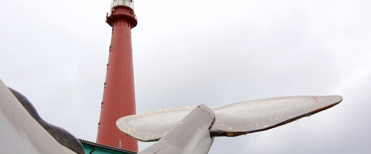 Whale Center featuring a lighthouse