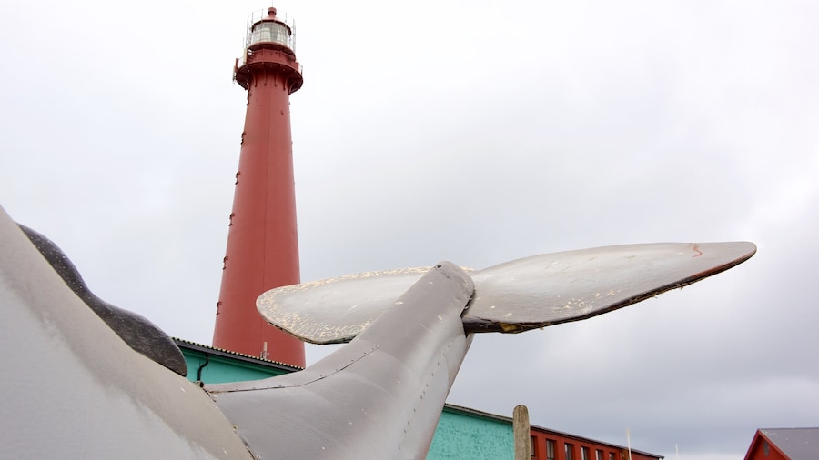 Whale Center caracterizando um farol