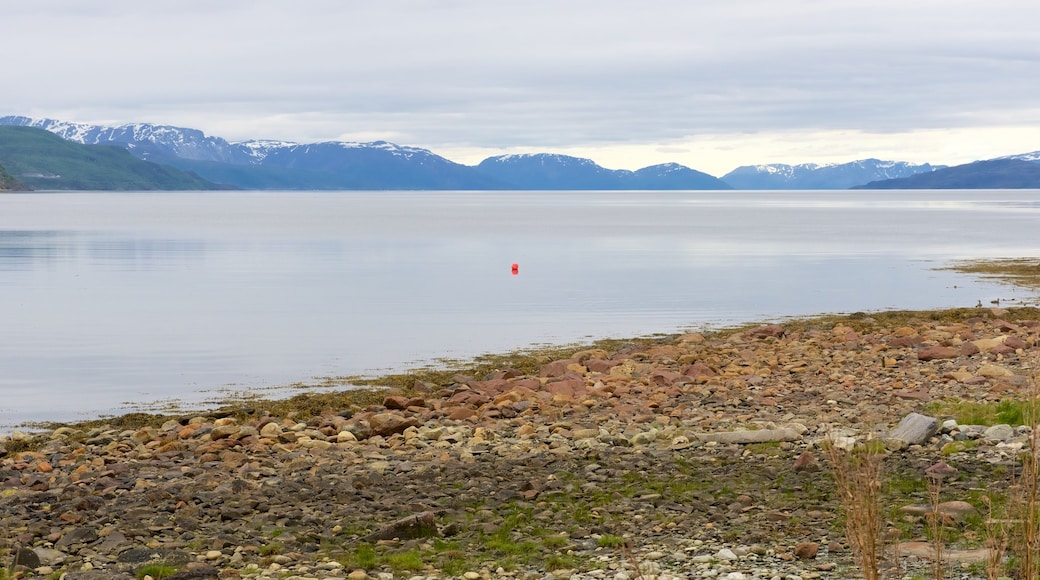 Alta Rock Carvings toont een meer of poel en landschappen