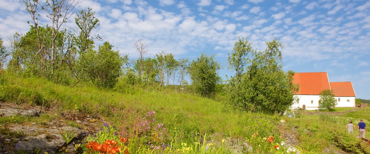 Trondenesin historiallinen keskus johon kuuluu kukat