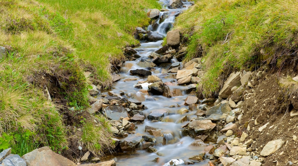 Honningsvag featuring a river or creek