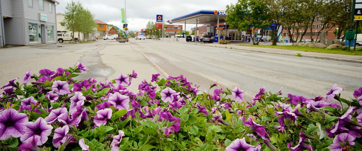Leknes which includes a small town or village and flowers