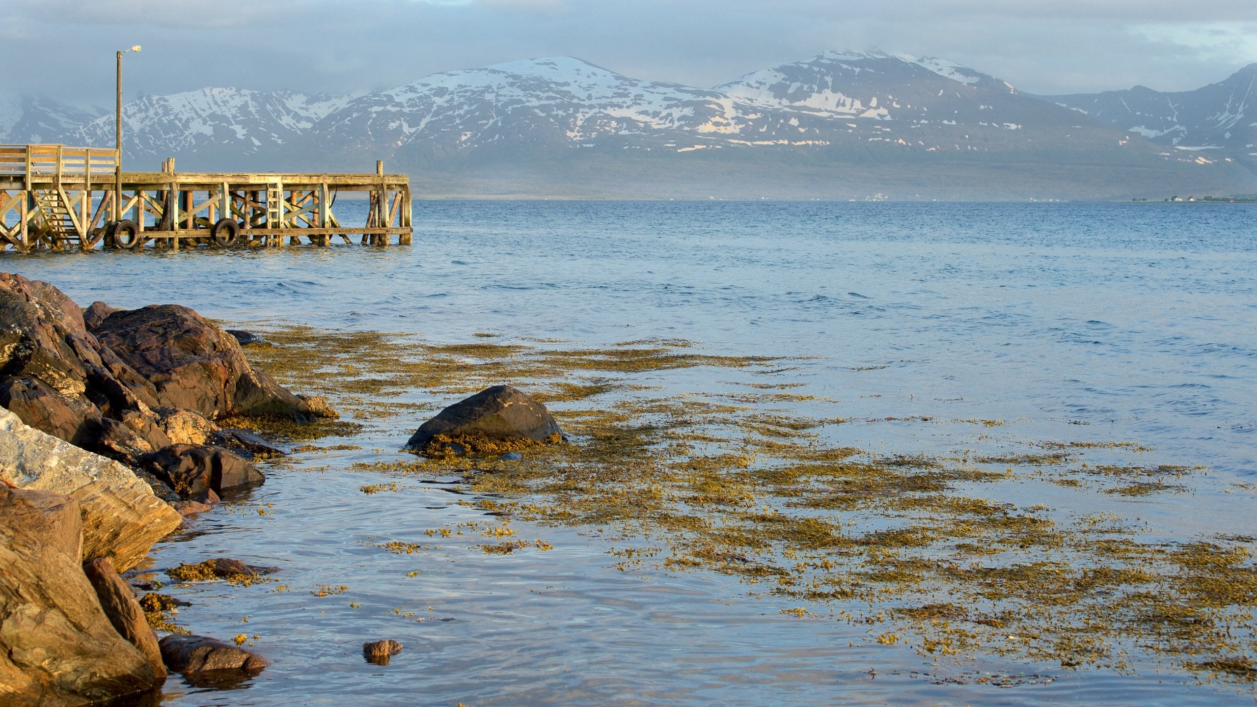 Tromso showing mountains and general coastal views