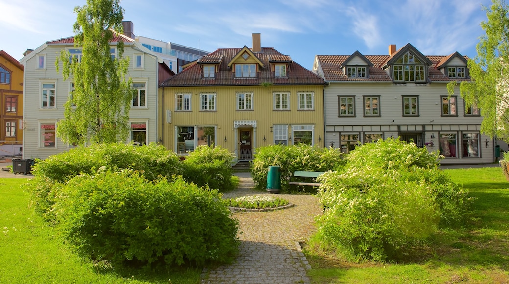 Tromso toont een huis en een tuin