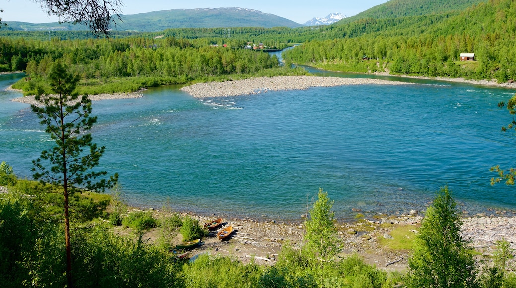 Maalselvfossen Waterfall showing forest scenes and a lake or waterhole