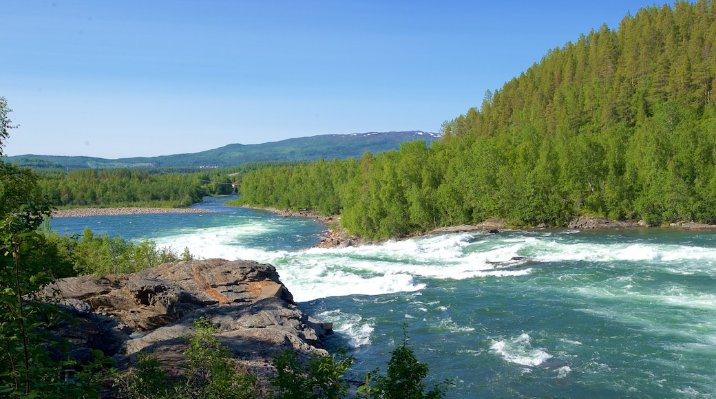 Thác Maalselvfossen cho thấy rừng rậm và ghềnh