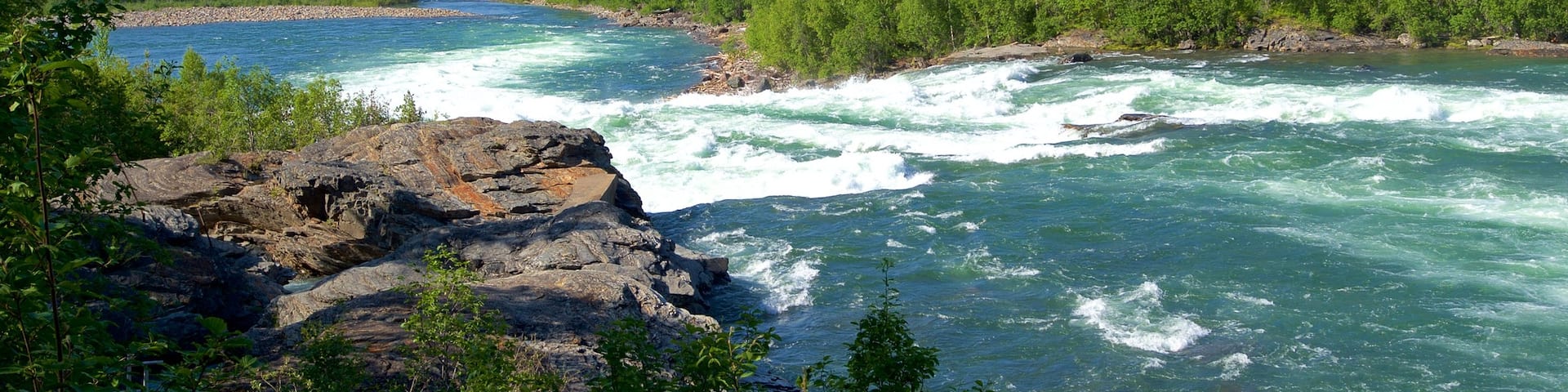 Maalselvfossen Waterfall which includes forest scenes and rapids