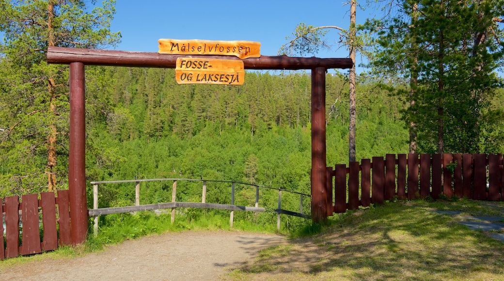 Maalselvfossen Waterfall featuring signage and forest scenes