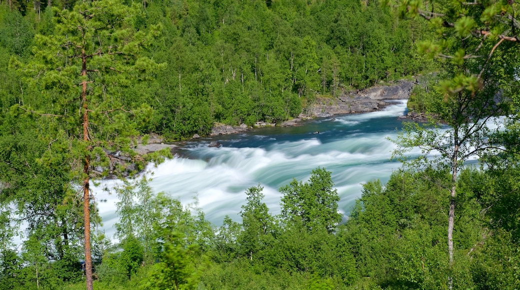 Cascade Målselvfossen