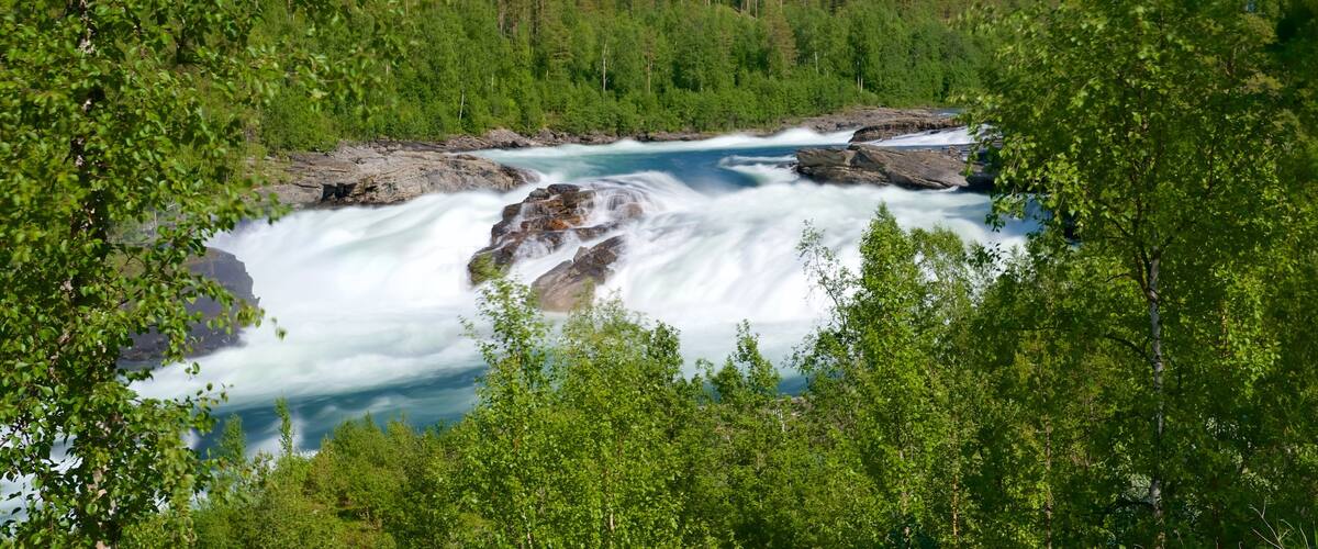 Cascada de Maalselvfossen mostrando rápidos y escenas forestales