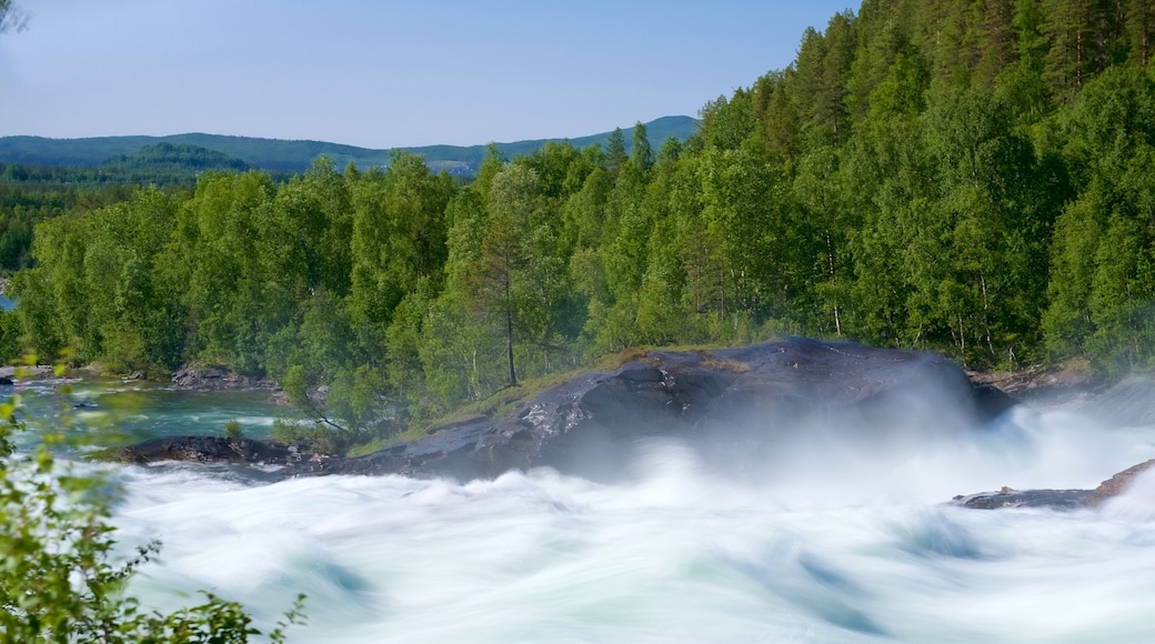 Målselvfossen fasiliteter samt fossestryk og skoglandskap