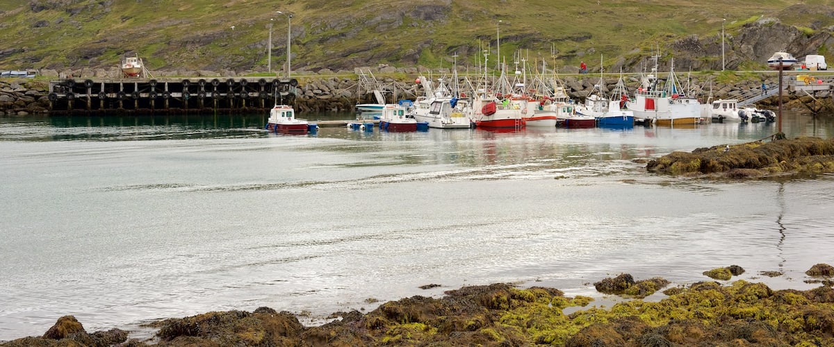 Skardsvag featuring a marina, boating and tranquil scenes