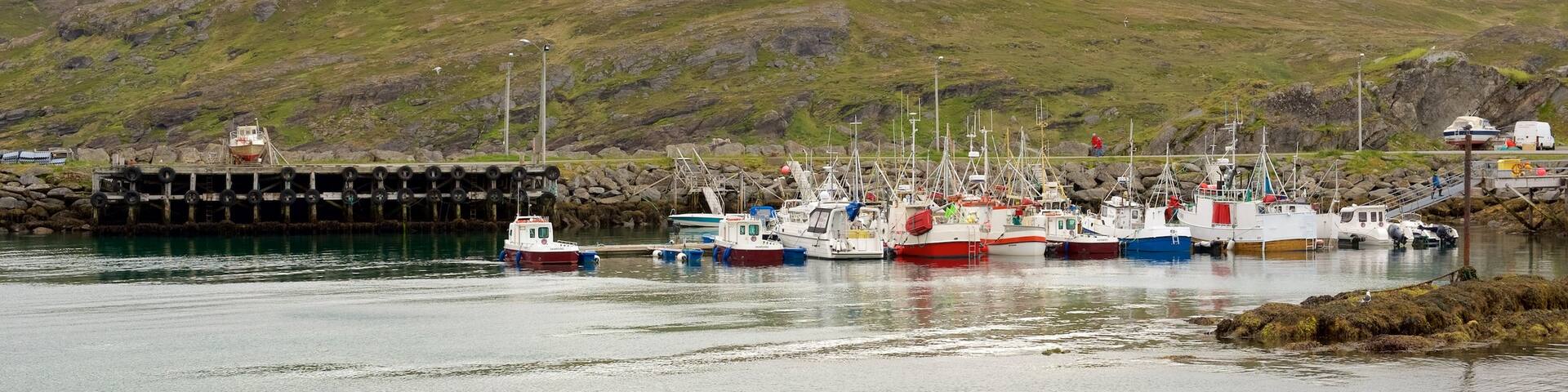 Skardsvag which includes a marina, tranquil scenes and boating