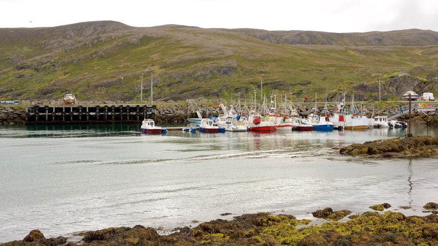 Skardsvag featuring a marina, boating and tranquil scenes