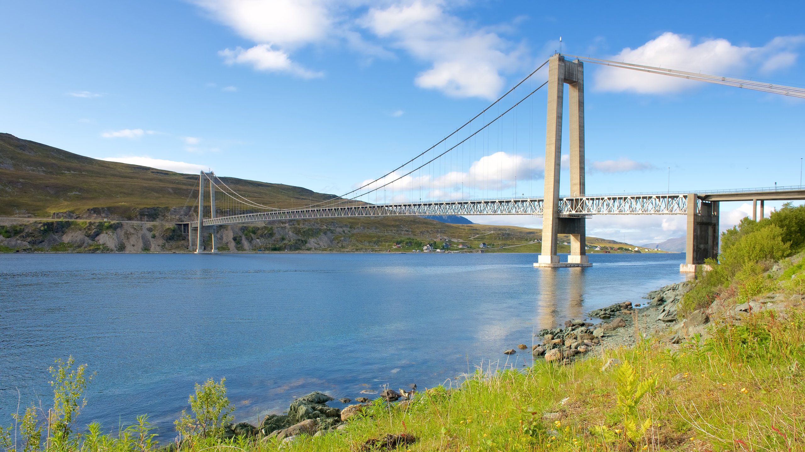 Vista Del Puente Colgante De La Suspensión Del Río Salmón En El