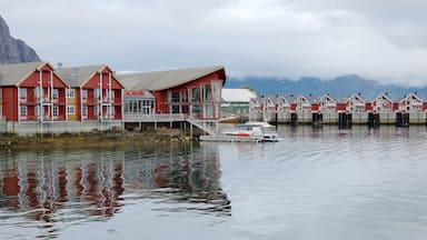 Northern Norway showing boating and a small town or village