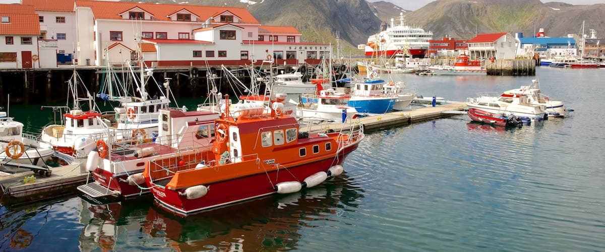Port de Honningsvåg montrant petite ville ou village, marina et navigation
