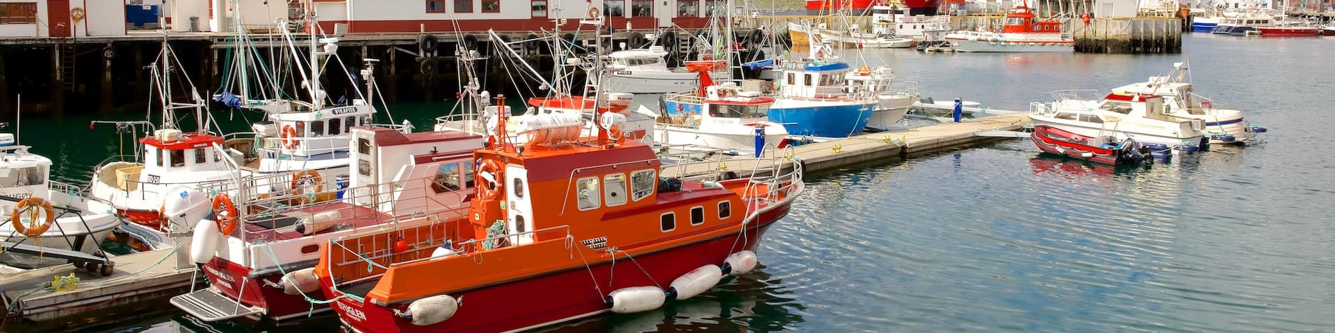 Honningsvag Port which includes a marina, a small town or village and boating