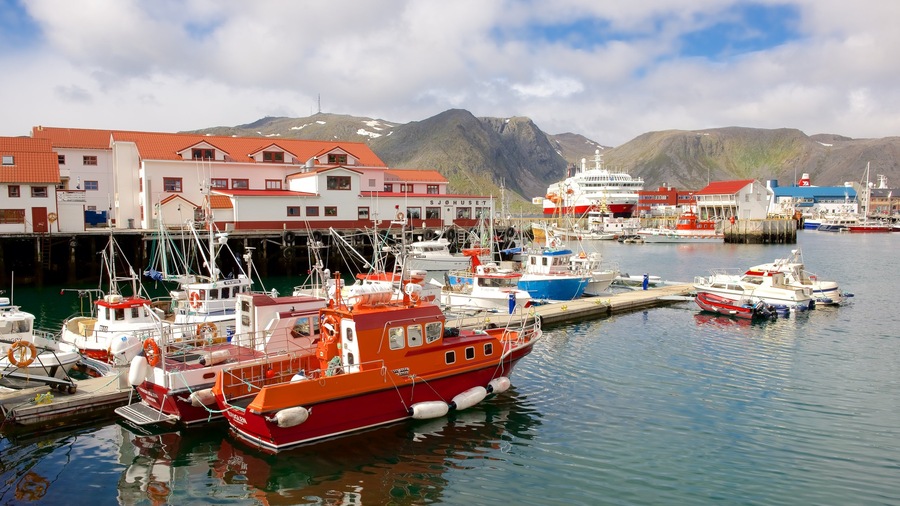 Hafen von Honningsvag welches beinhaltet Marina, Kleinstadt oder Dorf und Berge