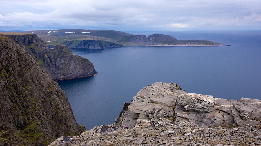 Knivskjellodden showing landscape views, general coastal views and mountains