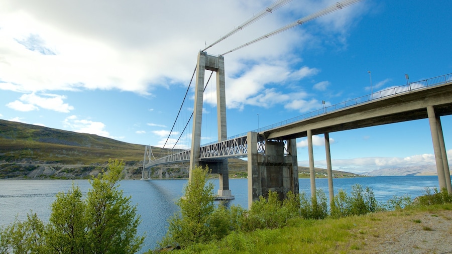 Kvalsund Bridge featuring general coastal views and a suspension bridge or treetop walkway