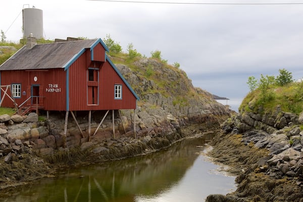 Norwegian Fishing Village Museum das einen Fluss oder Bach