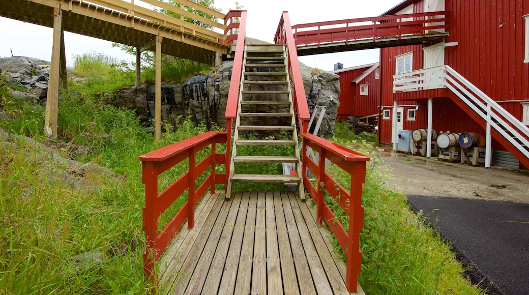 Stockfish Museum showing boating and general coastal views