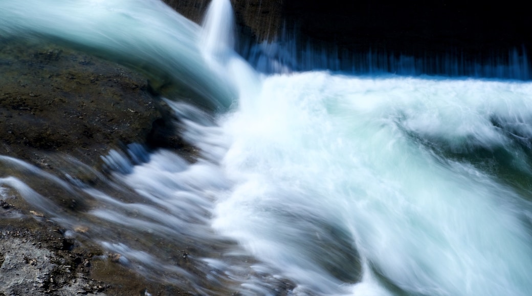 Bardufossen Waterfall showing rapids