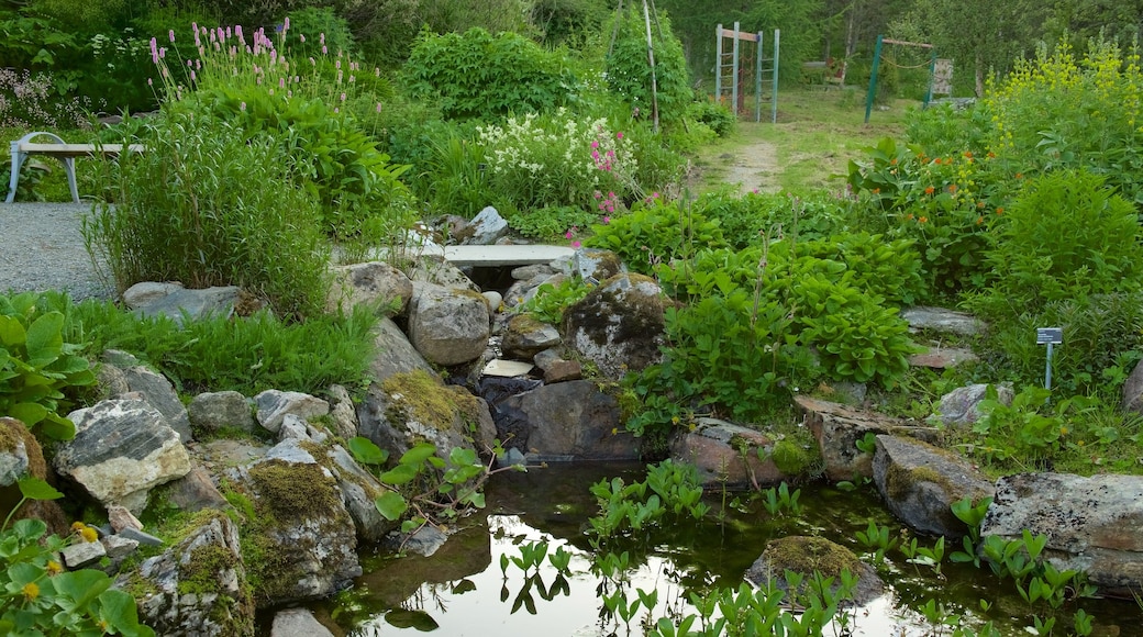 Polar-Alpine Botanical Gardens showing a garden and a pond