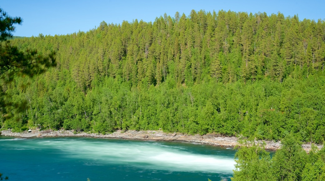 Wasserfall Målselvfossen welches beinhaltet Waldmotive