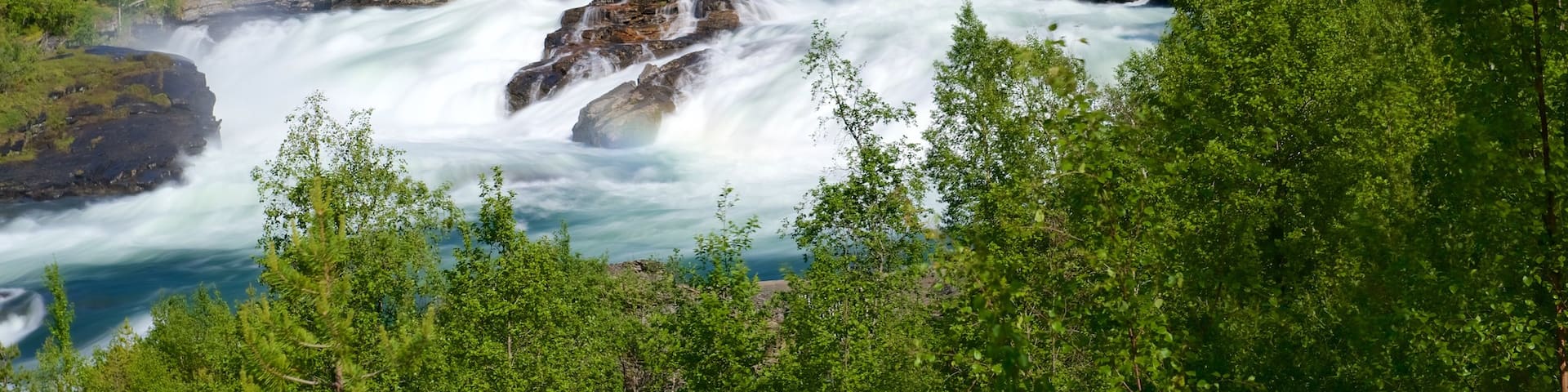 Maalselvfossen Waterfall showing forest scenes and rapids