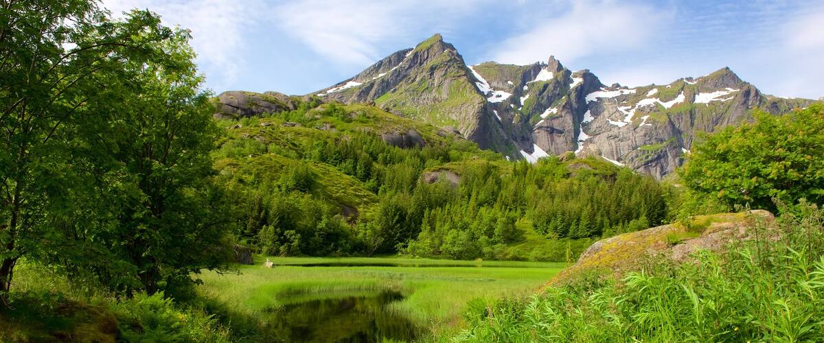Leknes featuring mountains