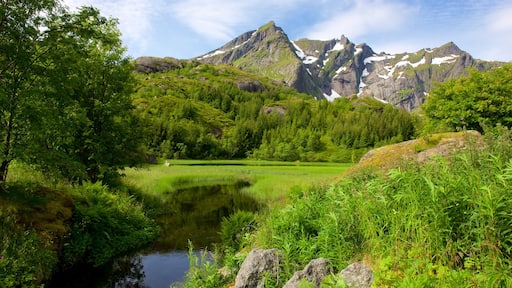 Leknes som viser fjell