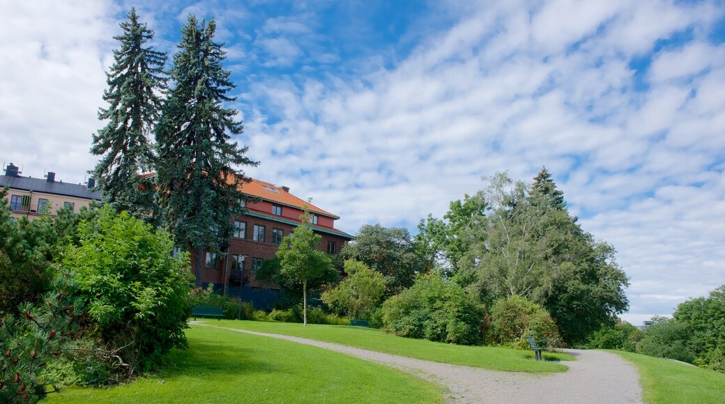 Skinnarvik Park