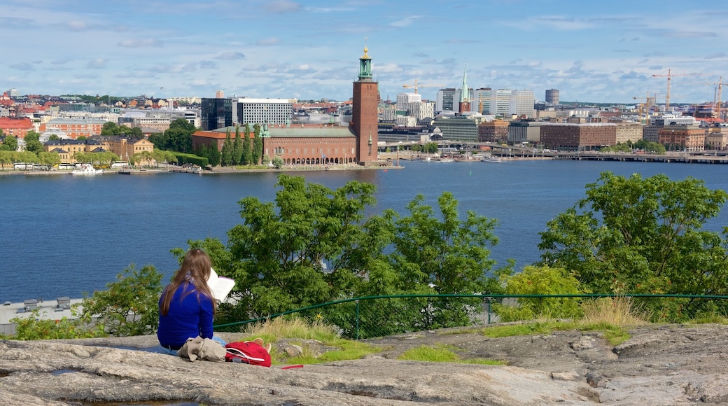 Skinnarvik Park showing views and a city