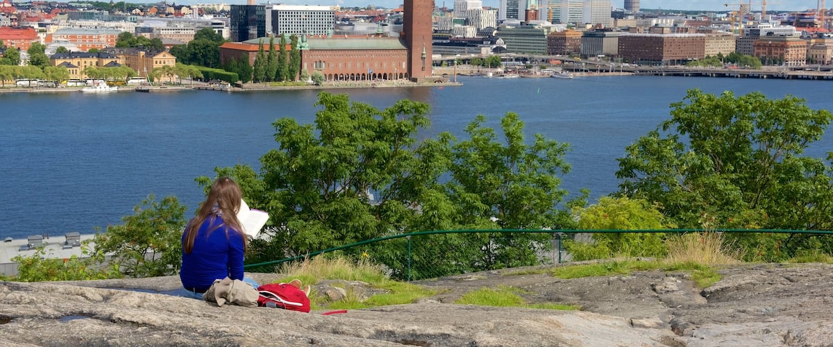 Skinnarvik-Park das einen Ansichten und Stadt