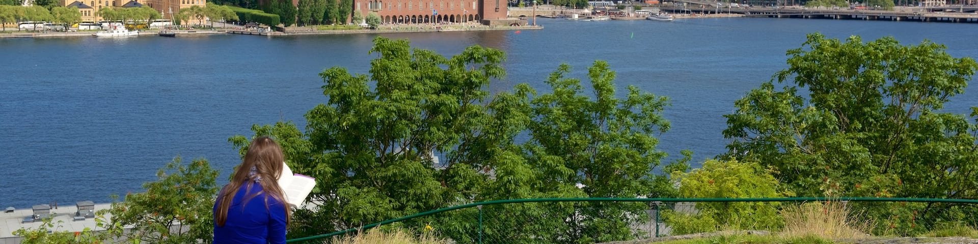 Skinnarvik Park featuring views and a city