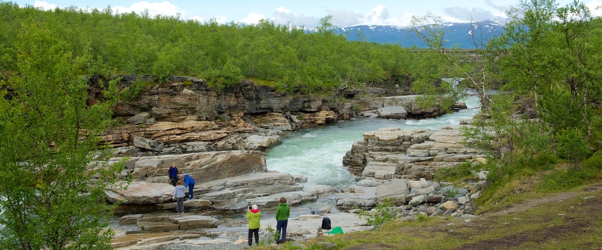 Abisko National Park featuring rapids