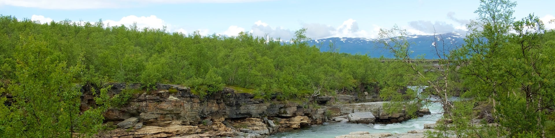 Abisko National Park featuring rapids