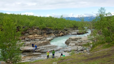 Abiskon kansallispuisto johon kuuluu koski