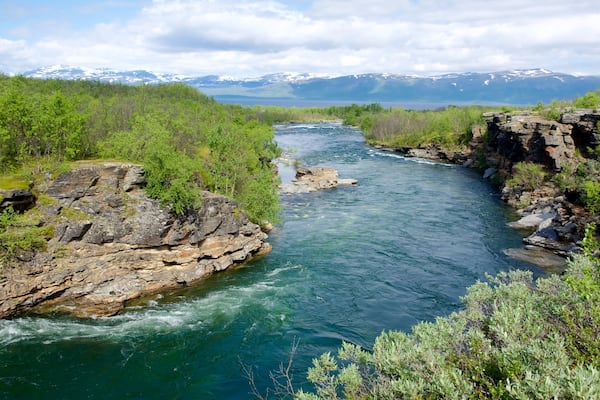 Abisko National Park mettant en vedette riviĂšre ou ruisseau