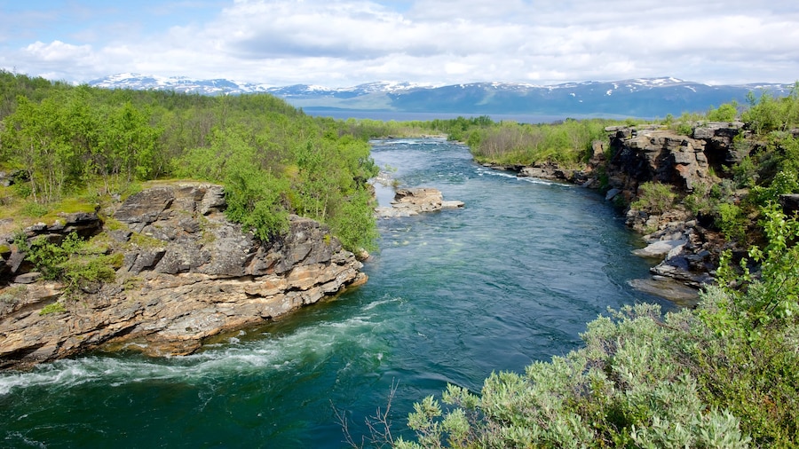 Abisko Nationalpark som omfatter en flod eller et vandløb