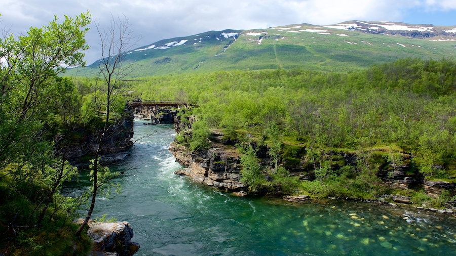 Abisko National Park which includes a river or creek