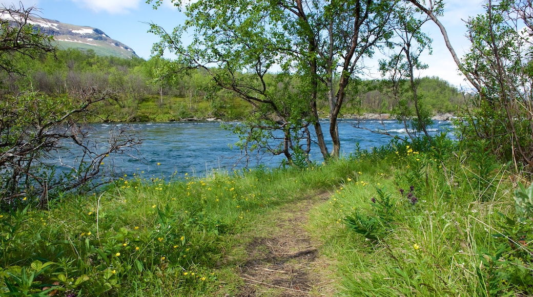 Parque Nacional de Abisko ofreciendo un río o arroyo