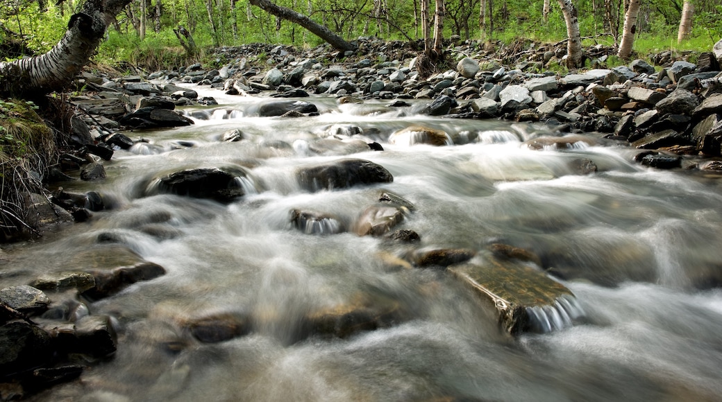 Nationaal Park Abisko inclusief een rivier of beek