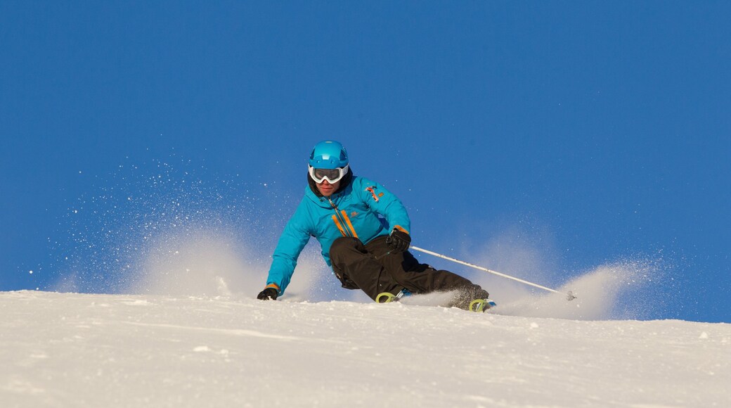 Foto verstrekt door Jocke Lagercranz/Härjedalsbild/Destination Vemdalen