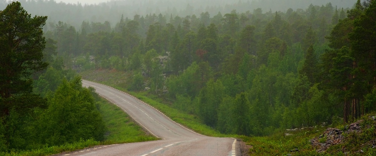 Stora Sjofallet National Park featuring forest scenes