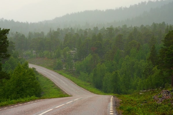 ストーラ シェーファレット国立公園 フィーチャー 森林の風景