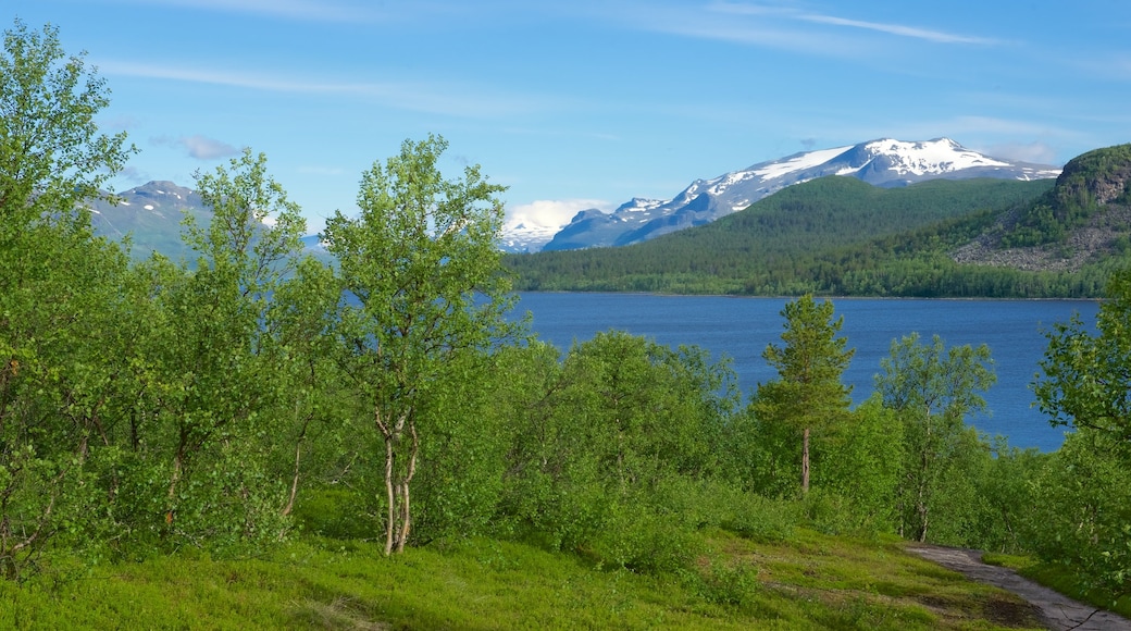 Stora Sjofallet National Park featuring a lake or waterhole