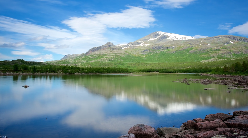 Stora Sjöfallets nationalpark presenterar en sjö eller ett vattenhål